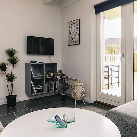Apartment Ix *