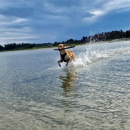 Apartman 6 Person In